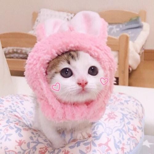 法国化学