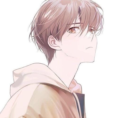 理你们